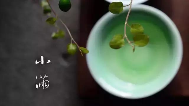 小滿小滿，麥粒漸滿